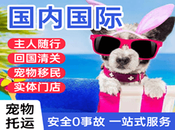 荆州沙市空运公司国际宠物托运 【国